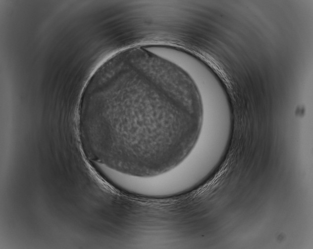 X0000098070942200804251435