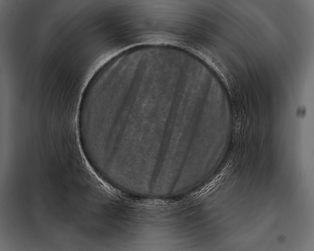 X0000098070943200804251435