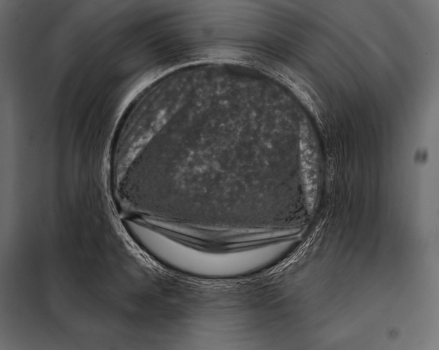 X0000098070944200804251435