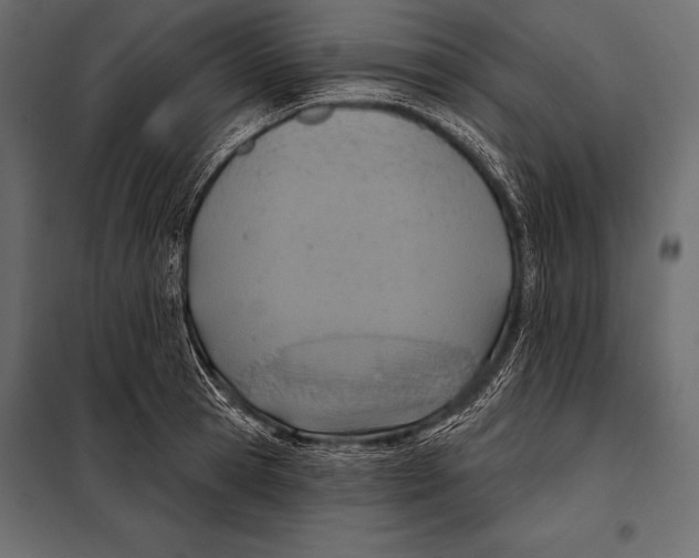 X0000098070945200804251435