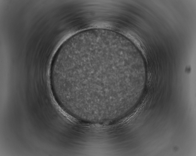 X0000098070947200804251435