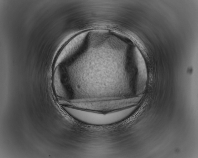 X0000098070948200804251435