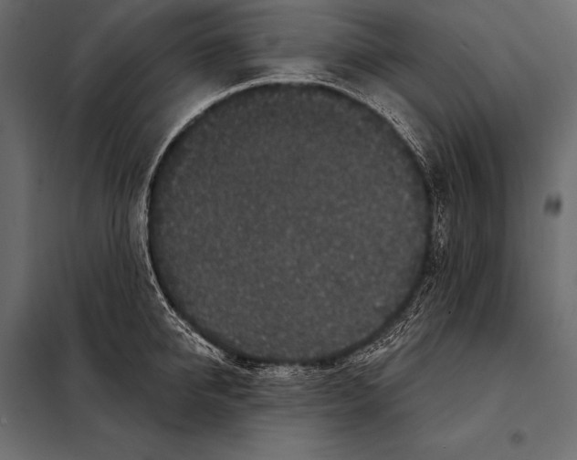 X0000098070950200804251435