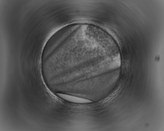 X0000098070951200804251435