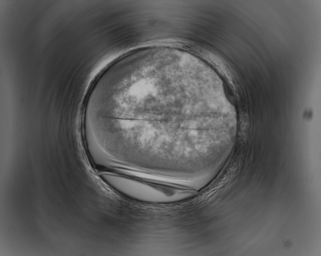 X0000098070952200804251435