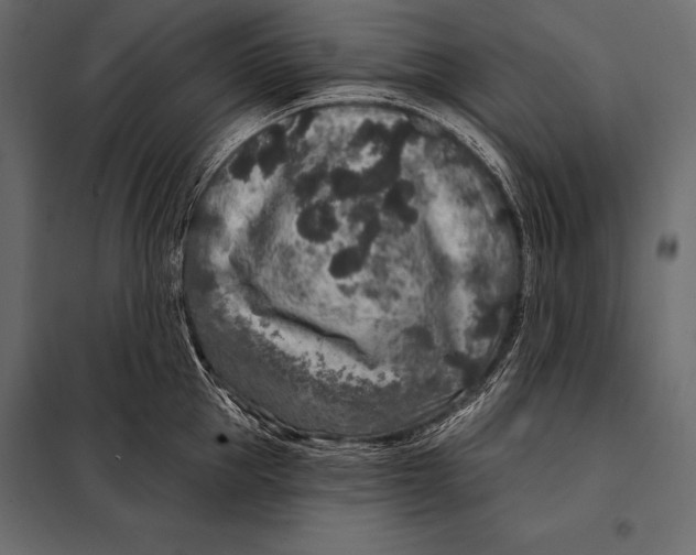 X0000098070953200804251435