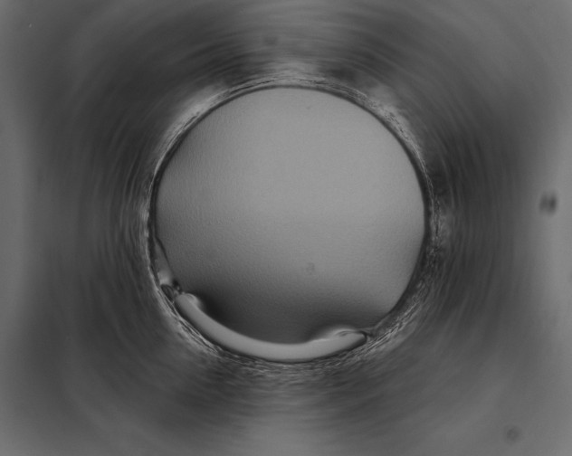 X0000098070954200804251435