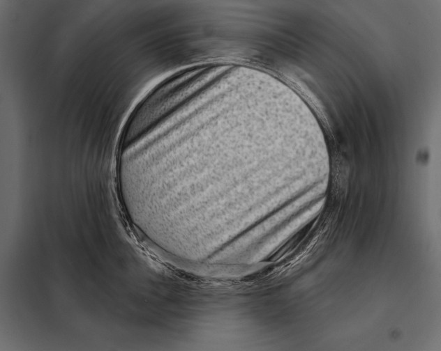 X0000098070956200804251435