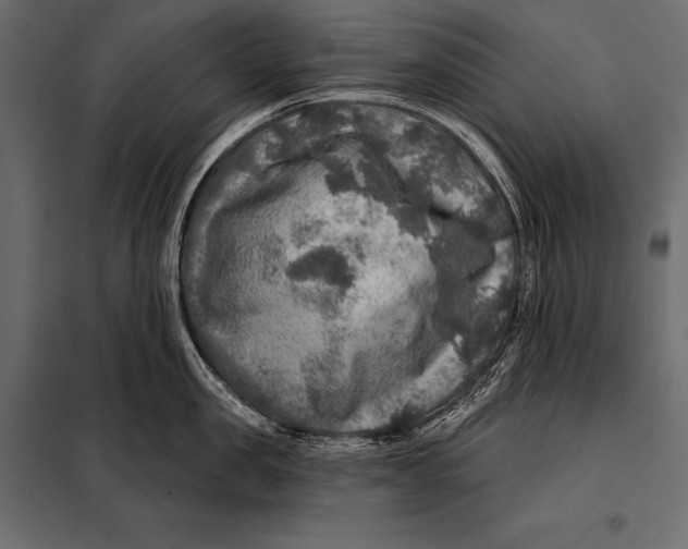 X0000098070957200804251435