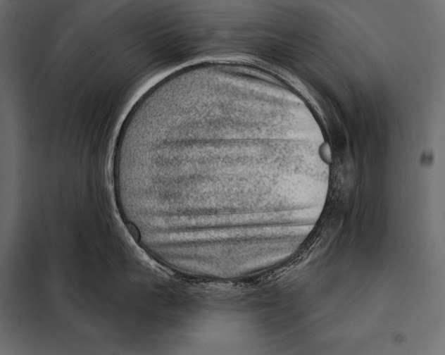 X0000098070959200804251435