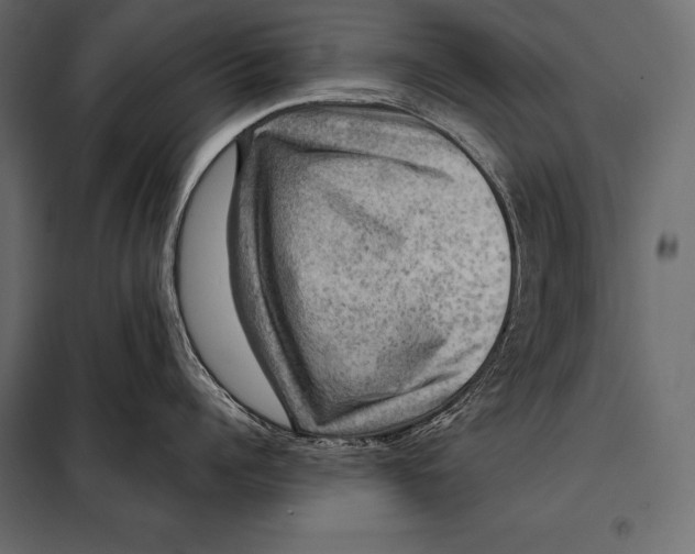 X0000098070960200804251435