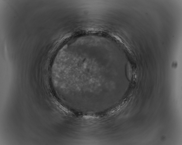 X0000098070961200804251434