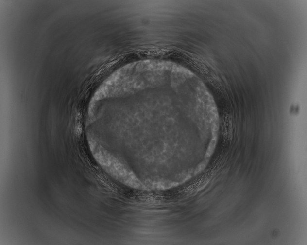 X0000098070962200804251434