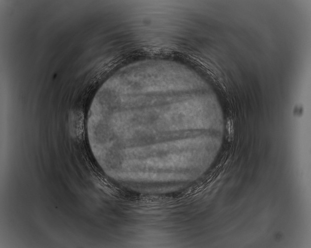 X0000098070963200804251434