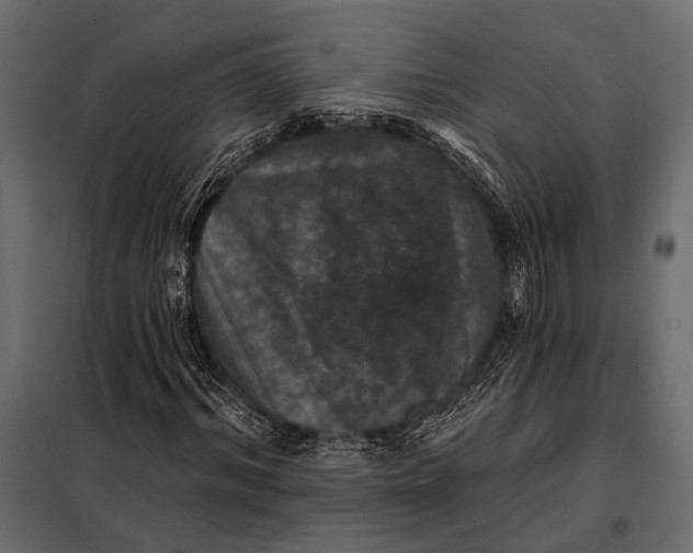 X0000098070964200804251434