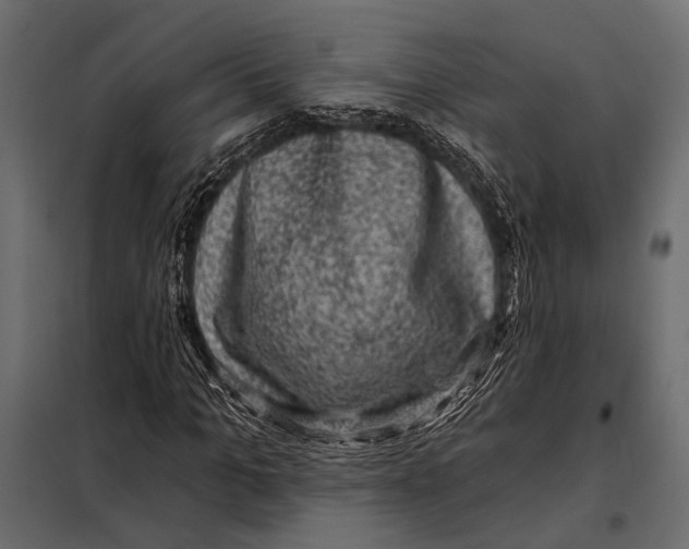 X0000098070965200804251434