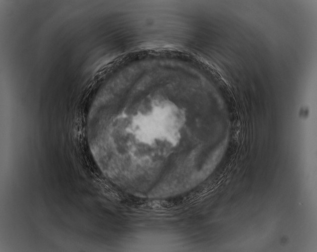 X0000098070966200804251434