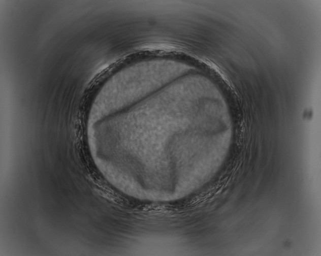 X0000098070967200804251434