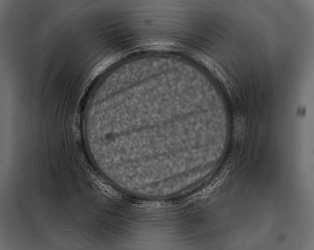 X0000098070970200804251434