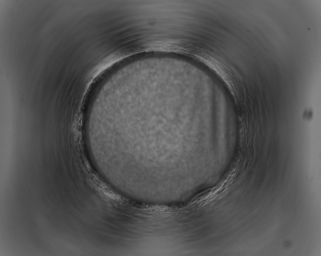 X0000098070971200804251434