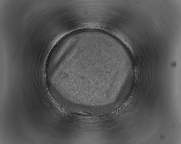 X0000098070972200804251434