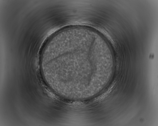 X0000098070974200804251434