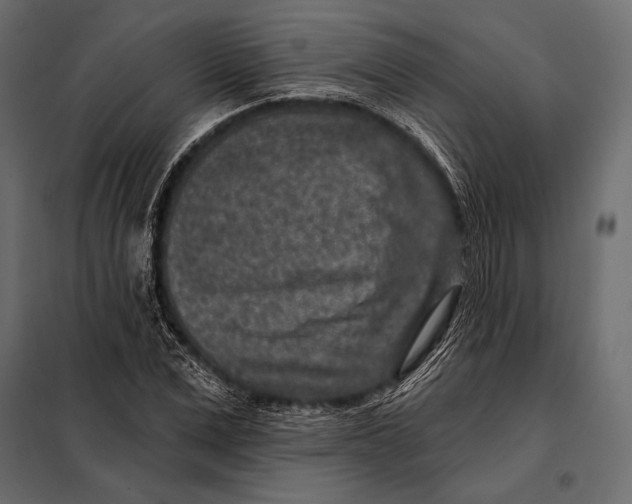 X0000098070975200804251434