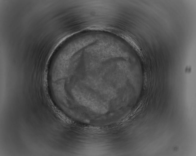 X0000098070976200804251434