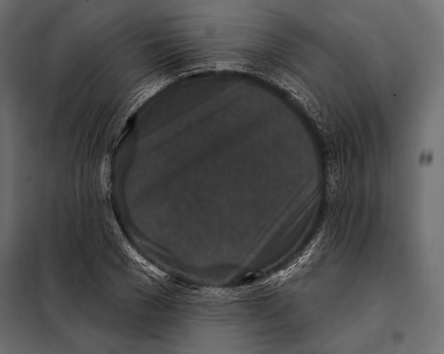 X0000098070977200804251434