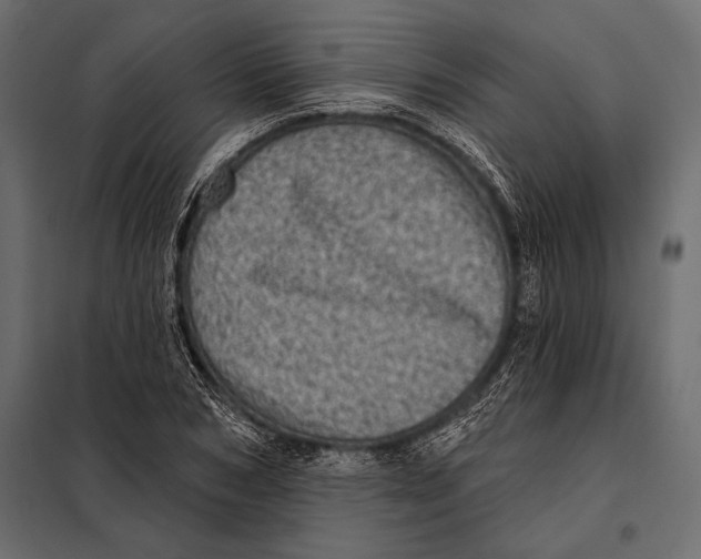 X0000098070978200804251434