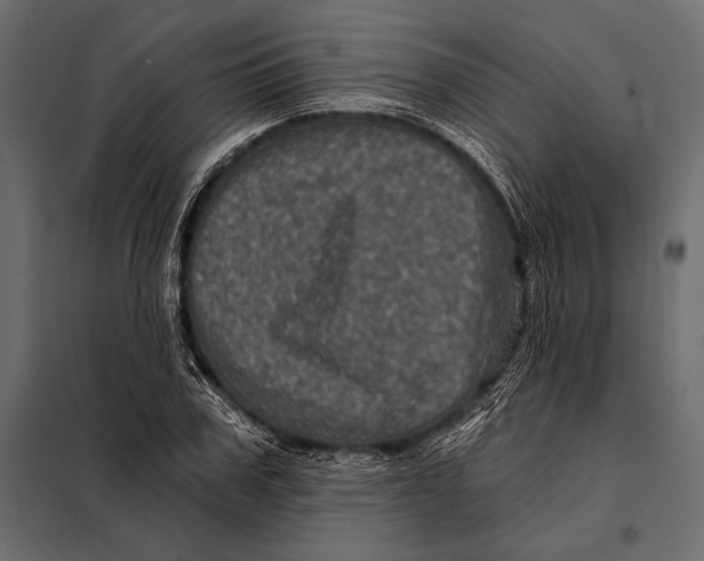 X0000098070979200804251434