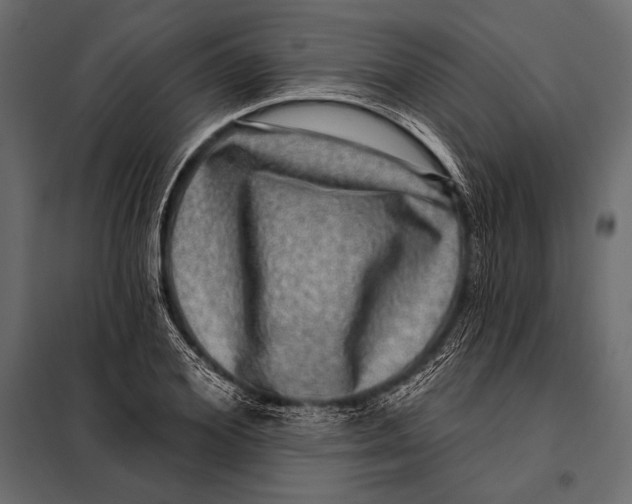 X0000098070980200804251434