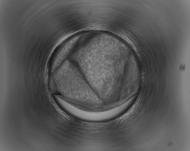 X0000098070981200804251434