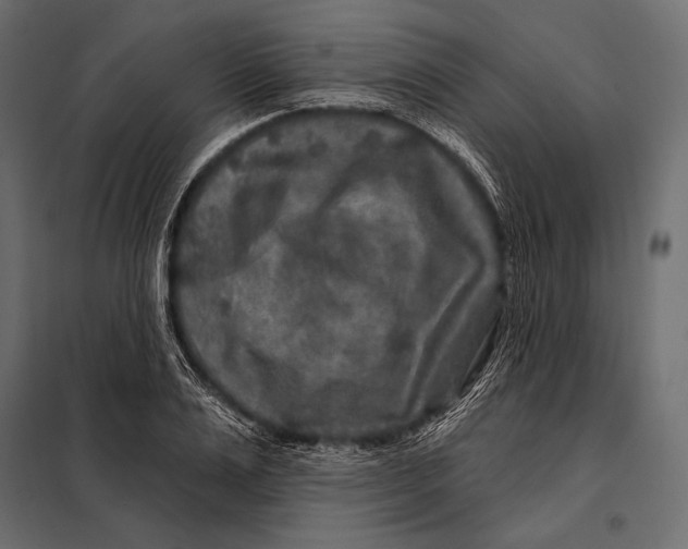 X0000098070983200804251434