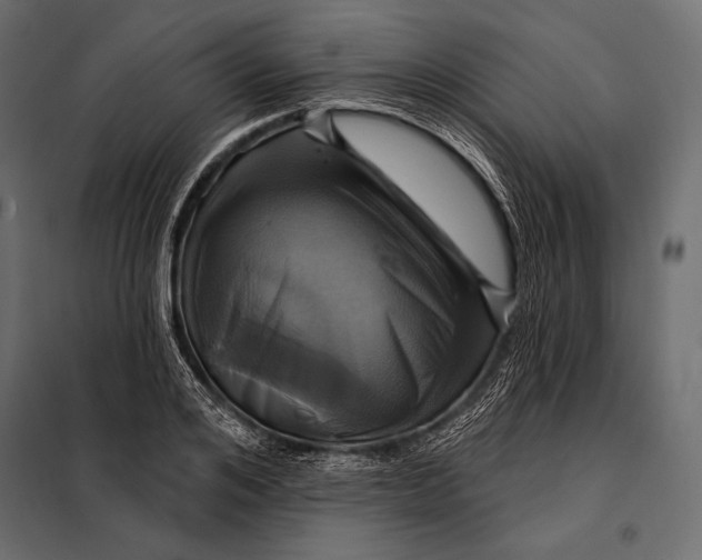 X0000098070984200804251434