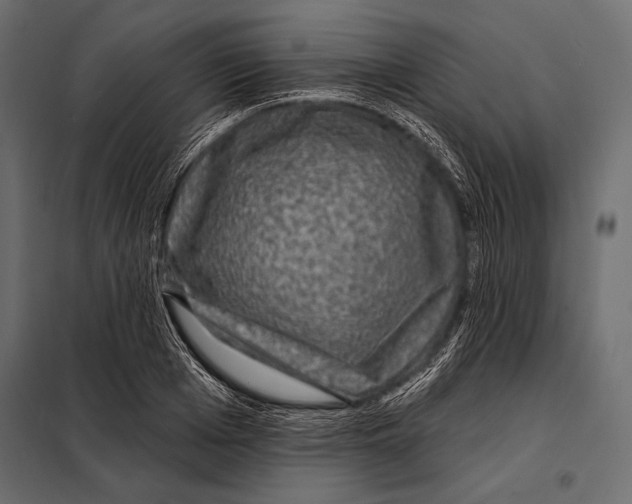 X0000098070985200804251434