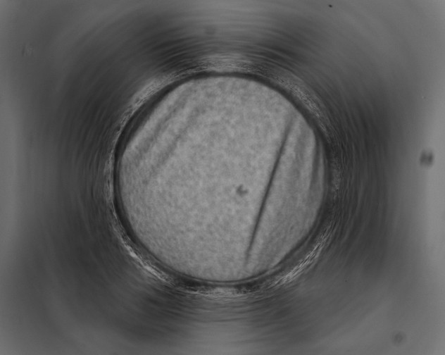 X0000098070986200804251434