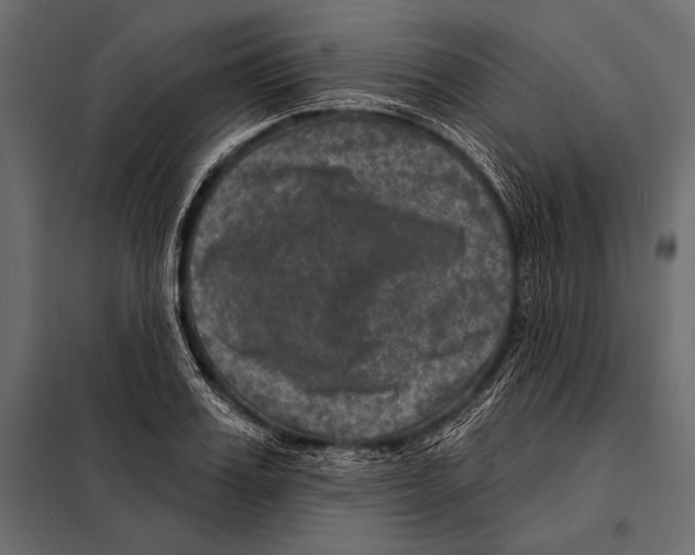 X0000098070987200804251434