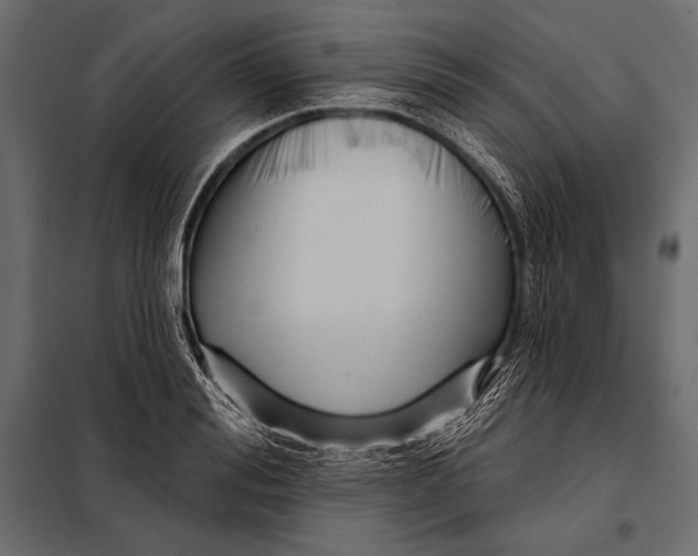 X0000098070988200804251434