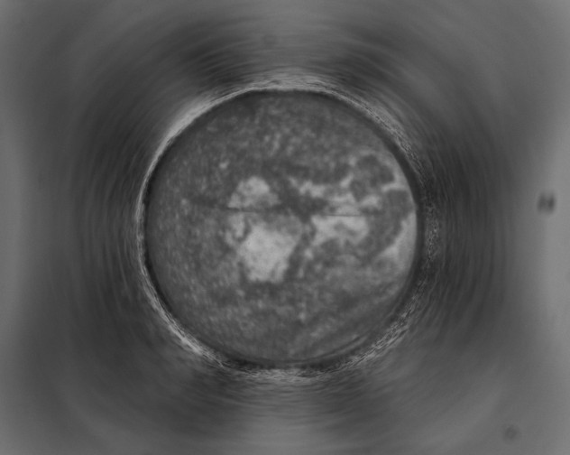 X0000098070990200804251434