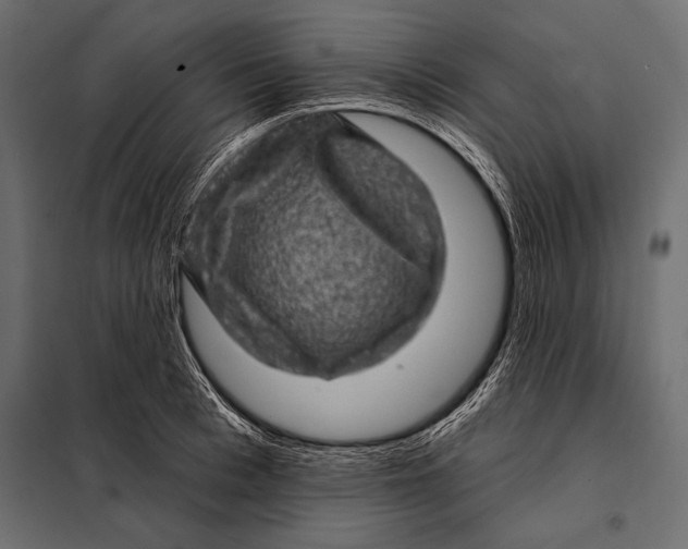 X0000098070993200804251434