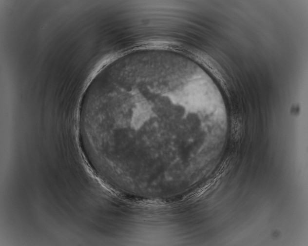 X0000098070994200804251434