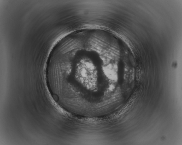 X0000098070995200804251434