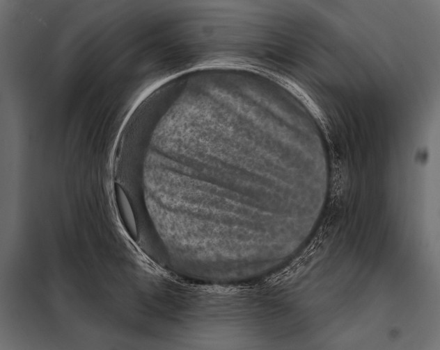 X0000098070996200804251434