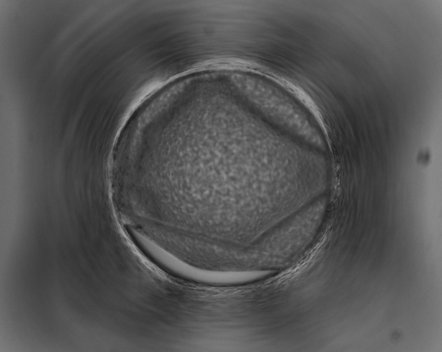 X0000098070997200804251434