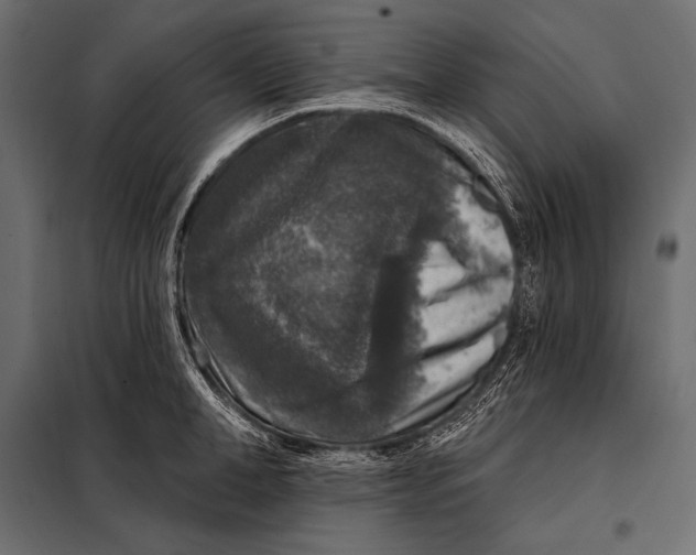 X0000098070998200804251434