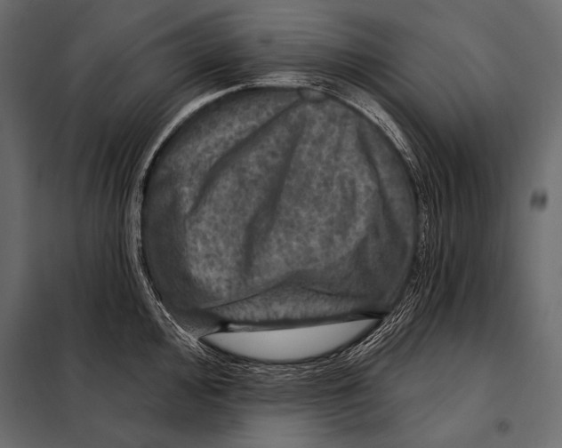 X0000098071000200804251434