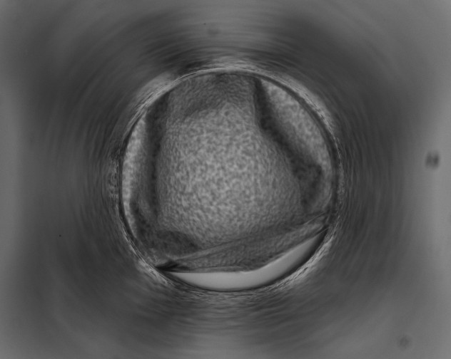 X0000098071001200804251434