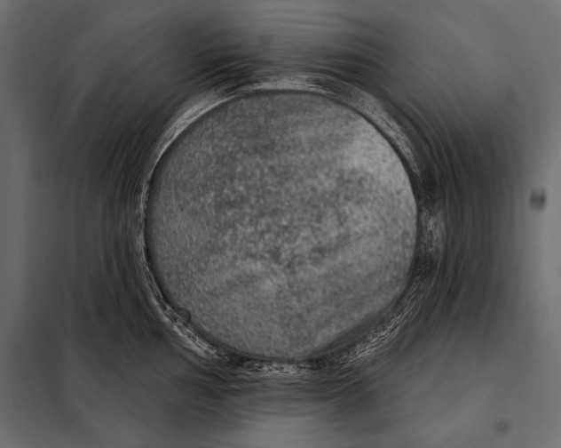 X0000098071002200804251434