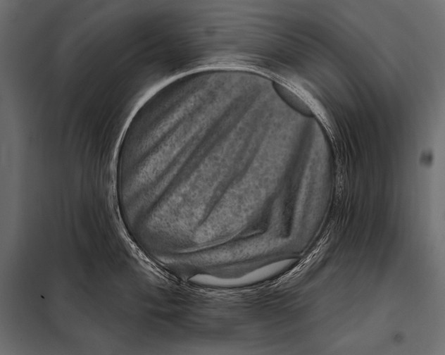 X0000098071004200804251434